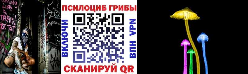 закладка  Северо-Курильск  Галлюциногенные грибы Psilocybine cubensis 